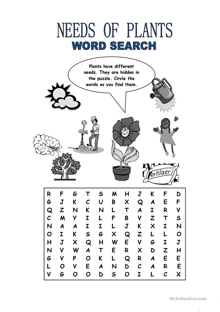 Plant Uses Worksheets