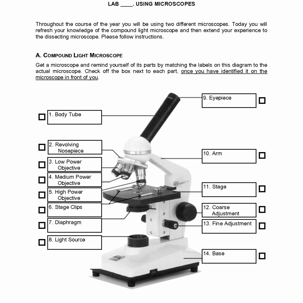 Microscope Parts Worksheet Answers