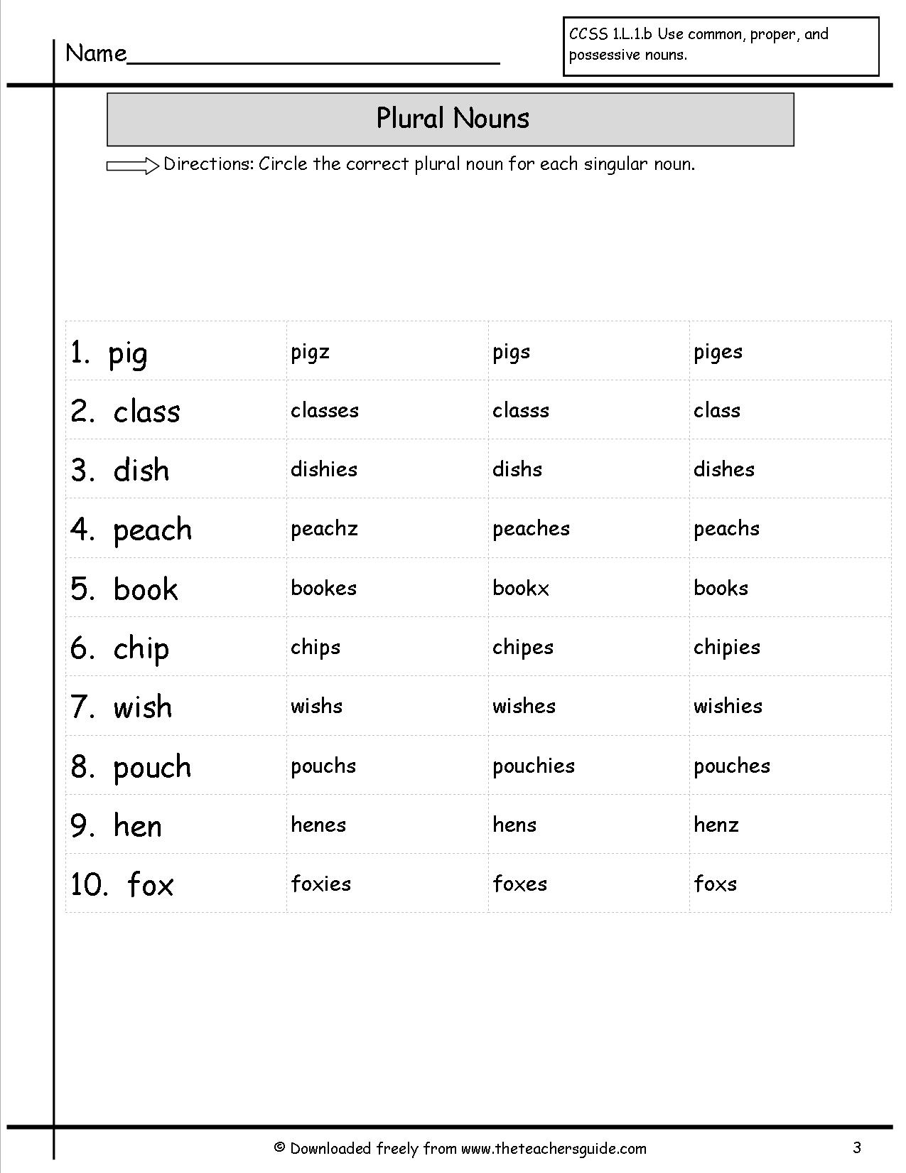 3rd-grade-plural-possessive-nouns-worksheets-worksheet-resume-examples