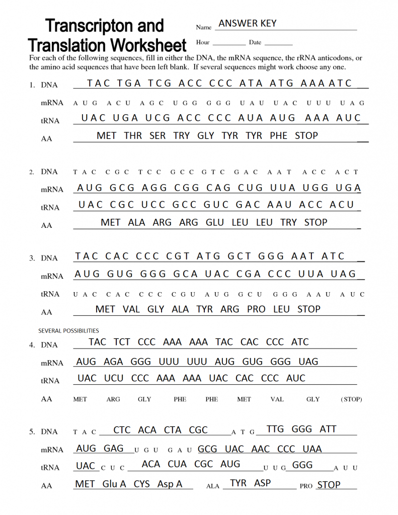 Translations Worksheet Answer Key