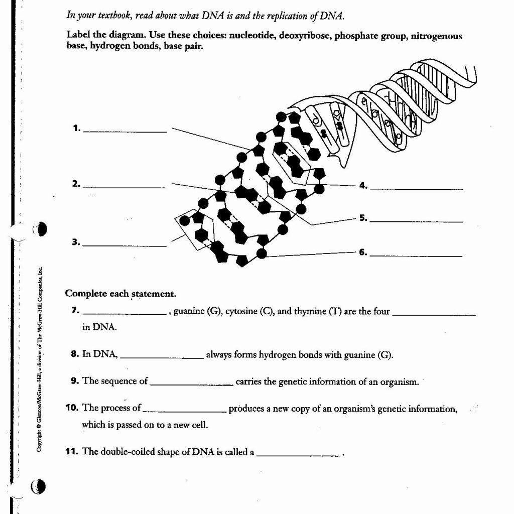 label-dna-worksheets