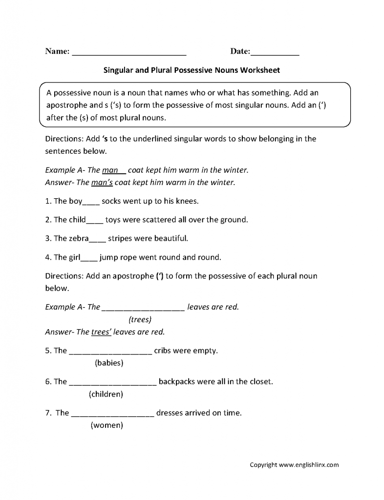 Possessive Nouns And Plural Nouns Worksheets Grade 5
