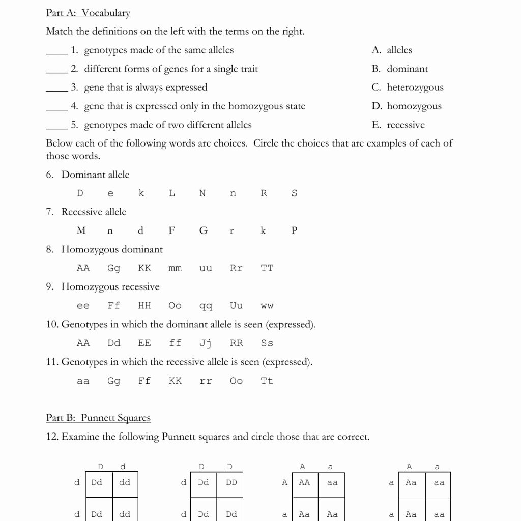 Monohybrid Cross Worksheet Answer Key