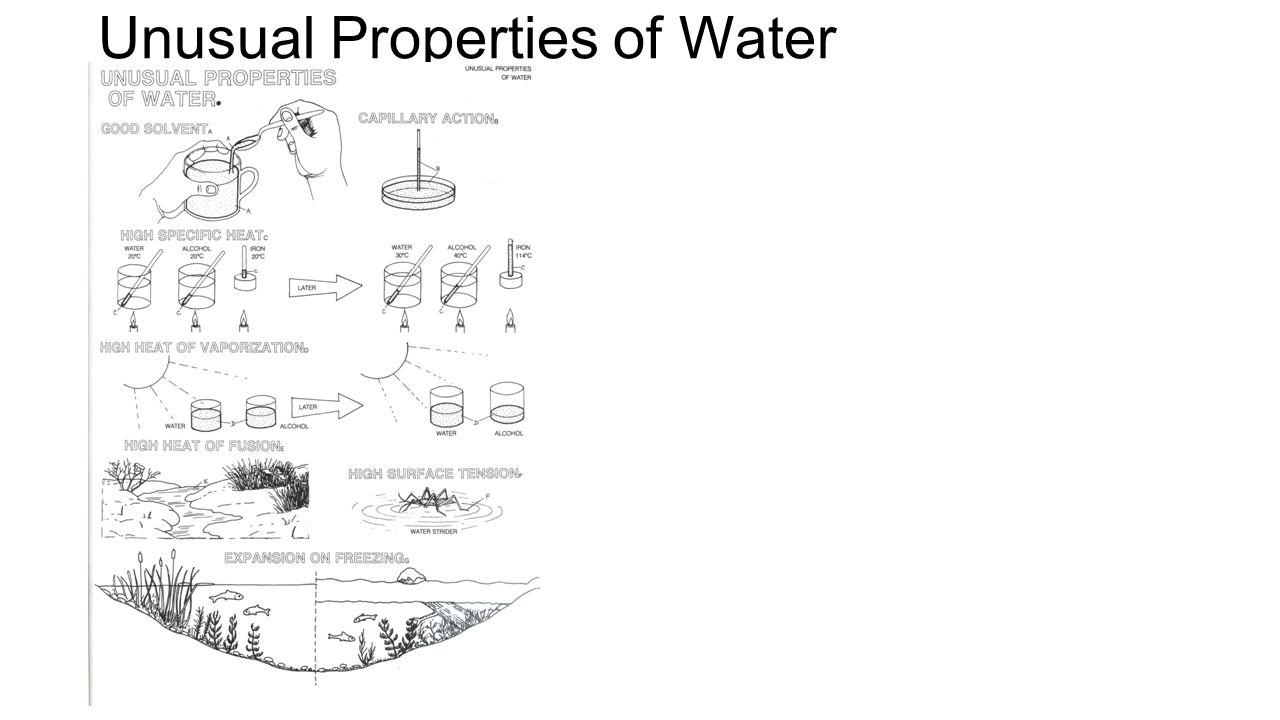 Water Properties Worksheets