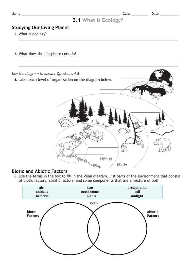 30-ecology-review-worksheet-1-education-template