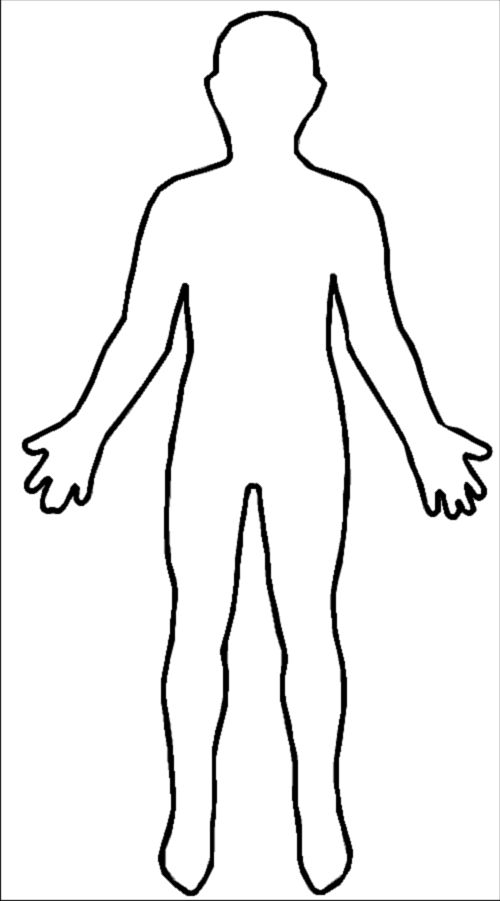 Free Blank Body, Download Free Clip Art, Free Clip Art On Clipart