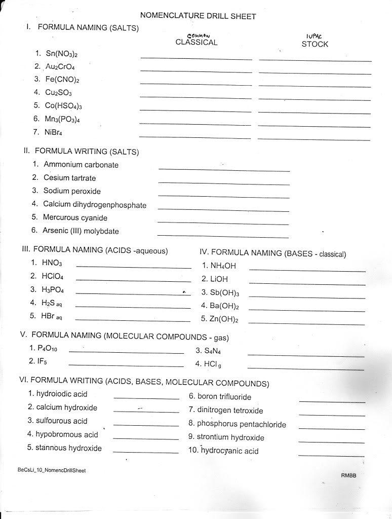 15 Best Images Of Digestive System Worksheets High School Lesson