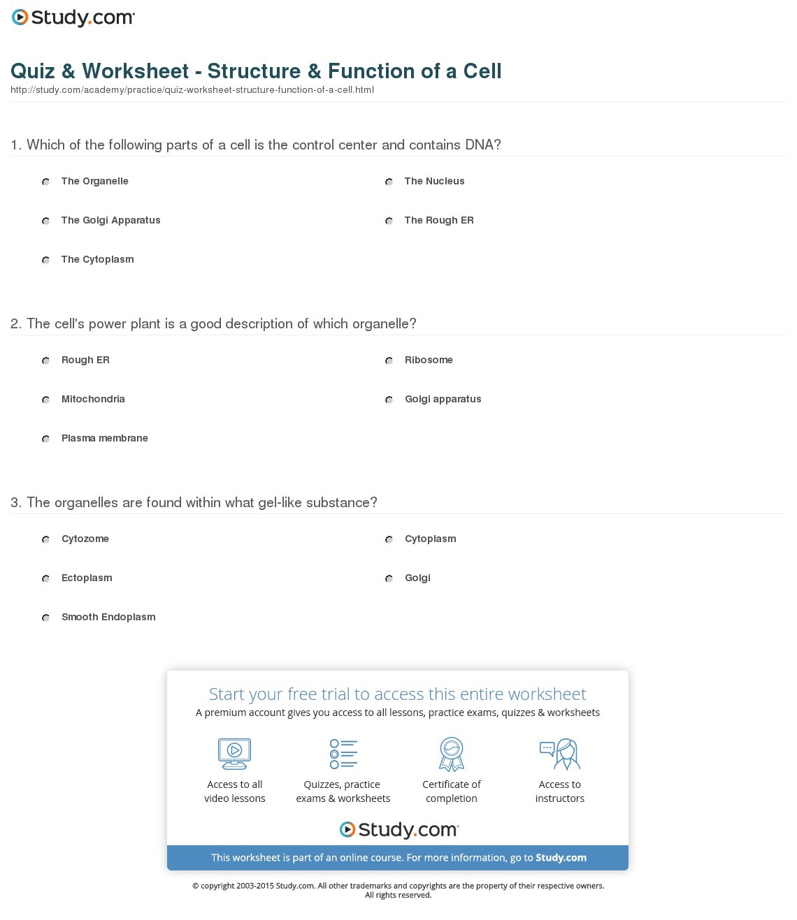 Function Of The Organelles Worksheet Free Worksheets Library