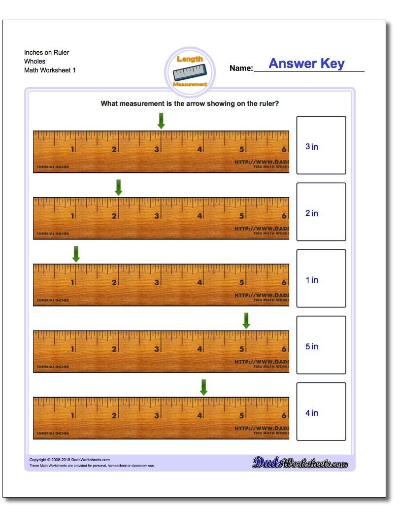 Inches Measurement