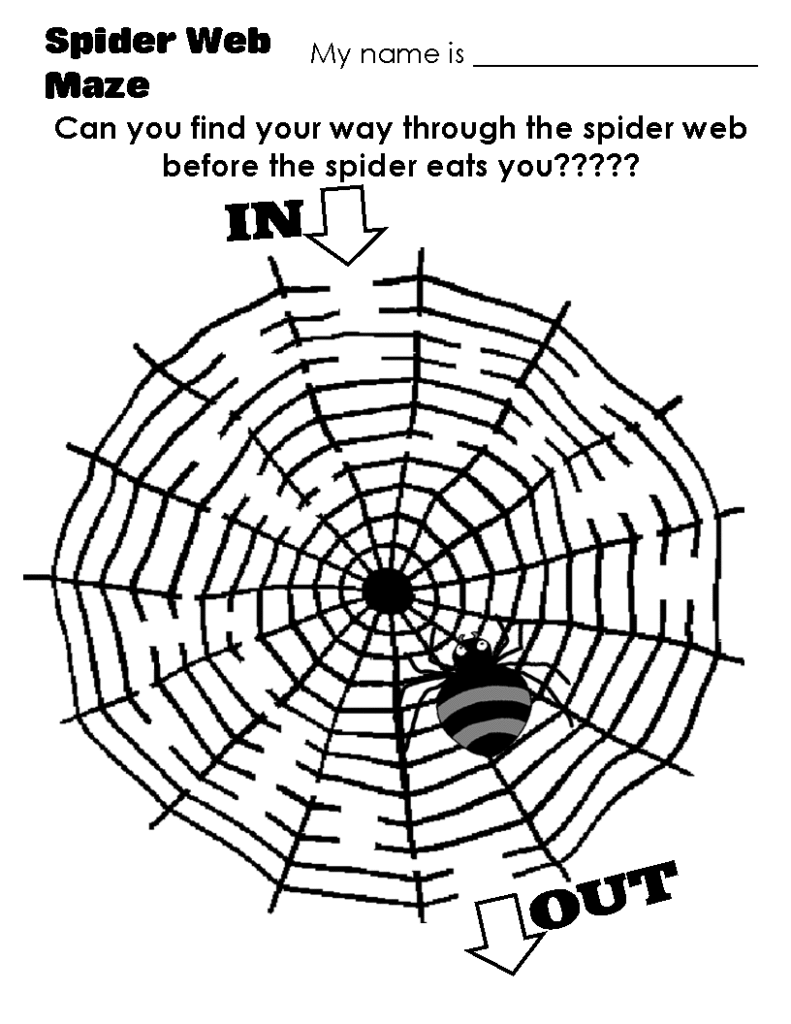Spider Body Parts Worksheets