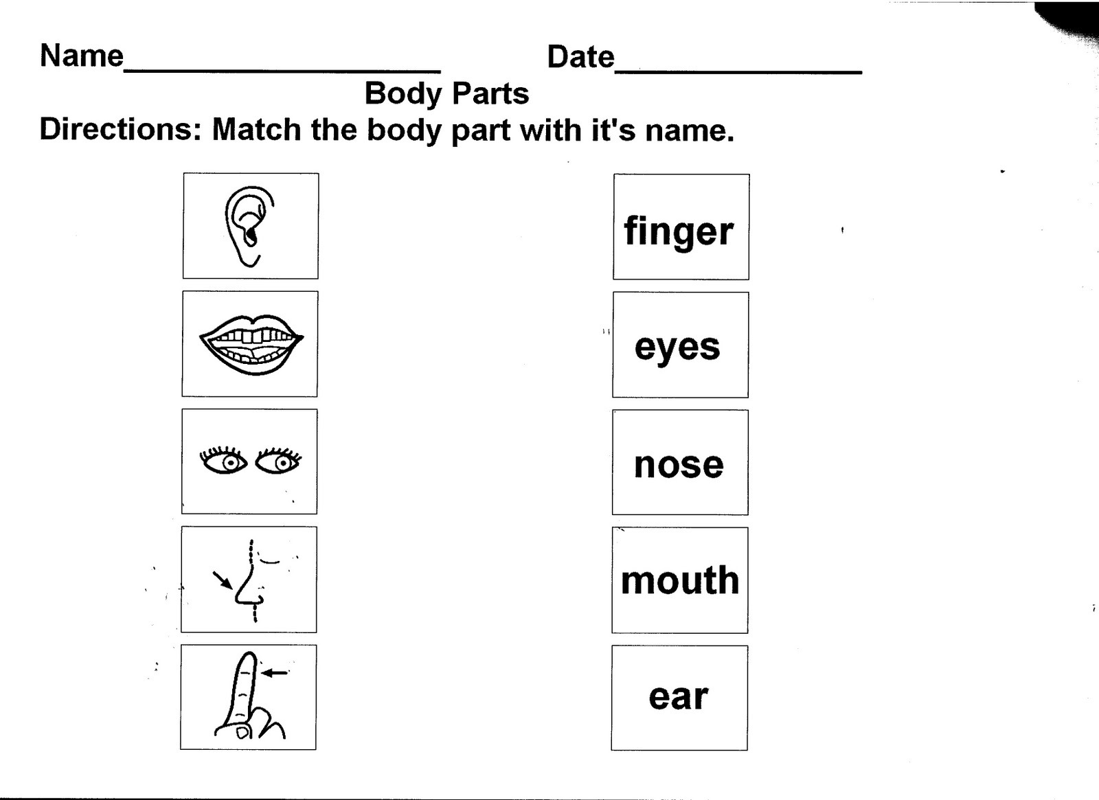 Worksheet For Grade 1 Parts Of The Body  Grade Science Worksheets