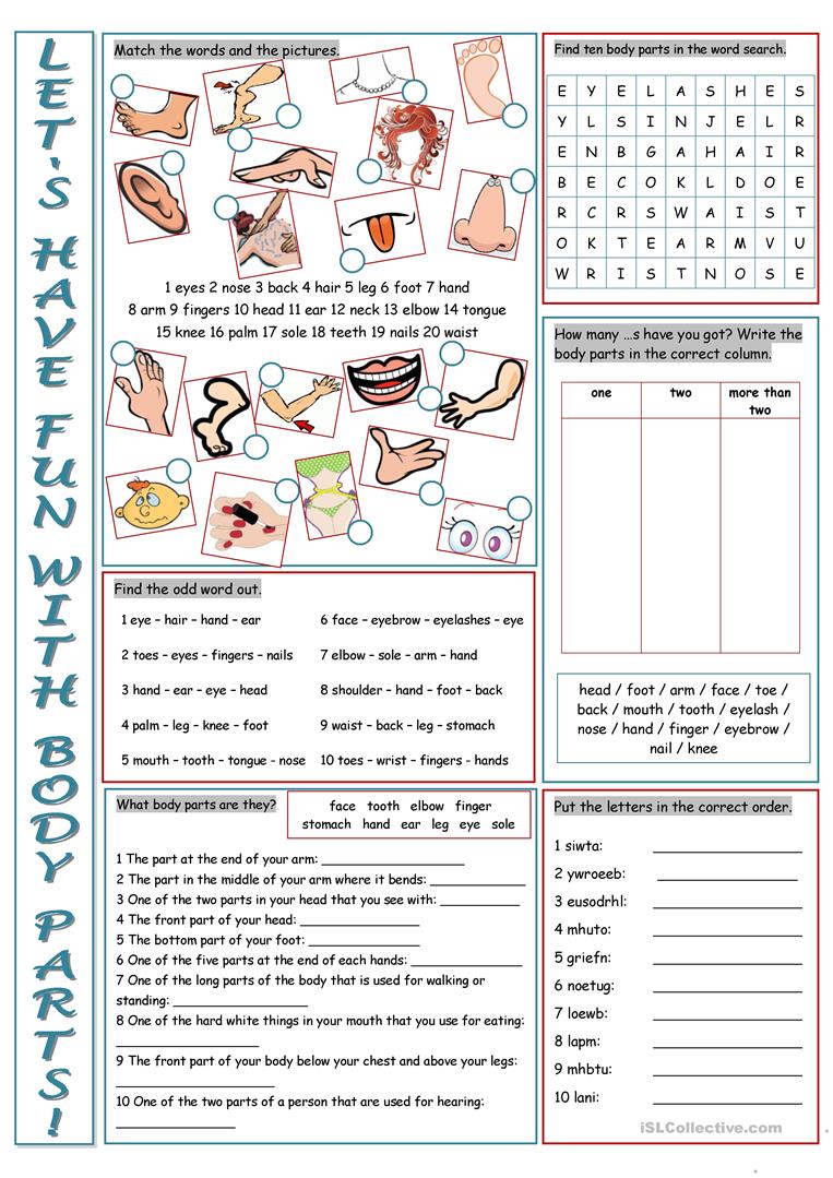 124 Free Esl Parts Of The Body Worksheets