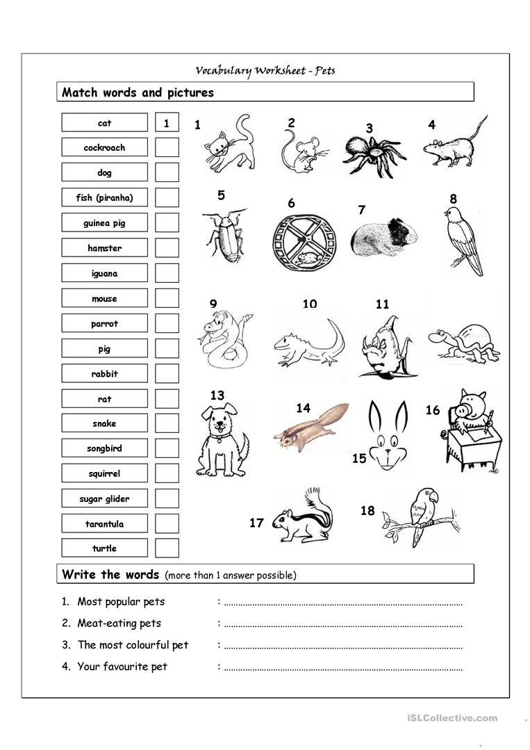 134 Free Esl Pets Worksheets