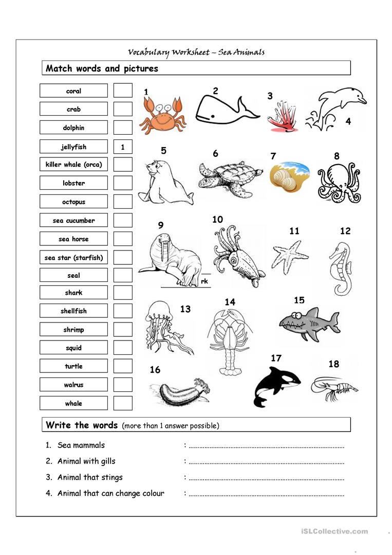 61 Free Esl Animal Vocabulary Worksheets