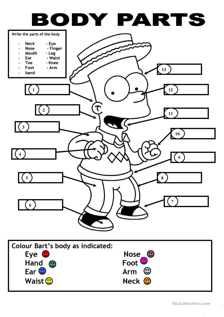 844 Free Esl Body Parts Worksheets