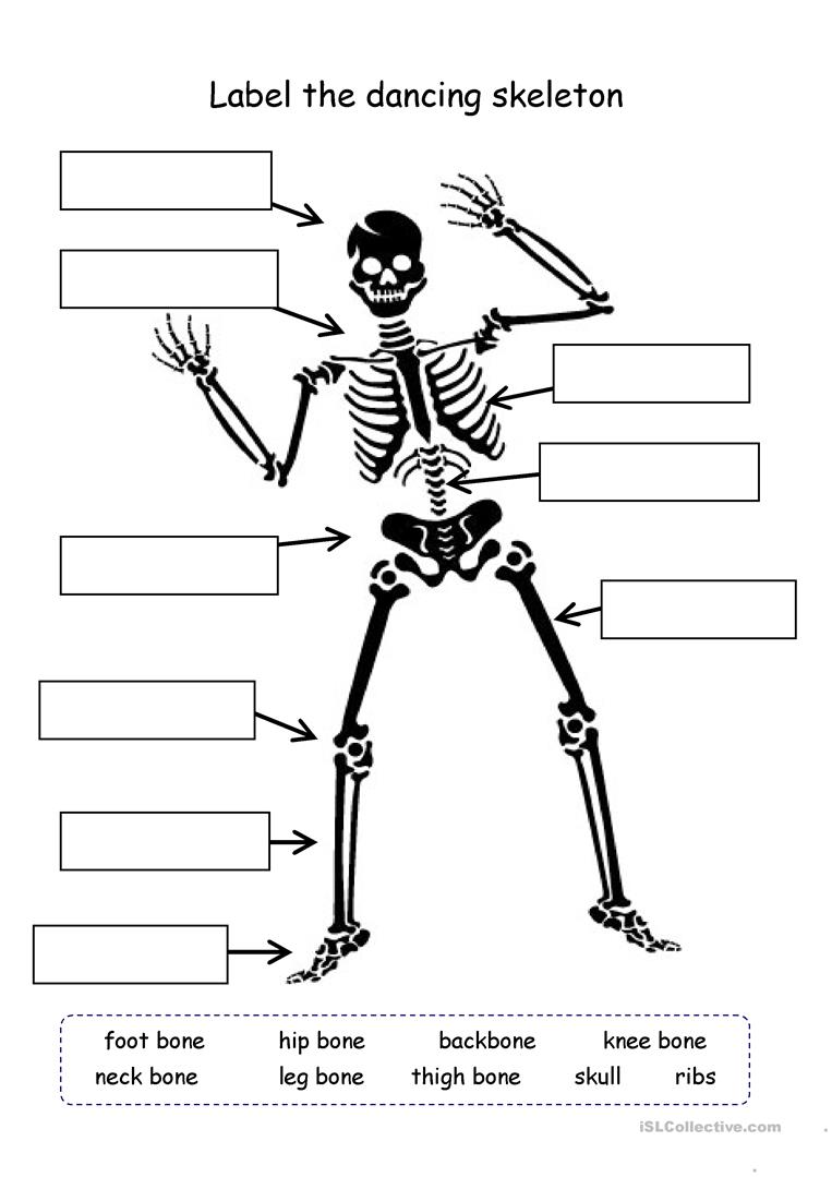 8 Free Esl Bones Worksheets