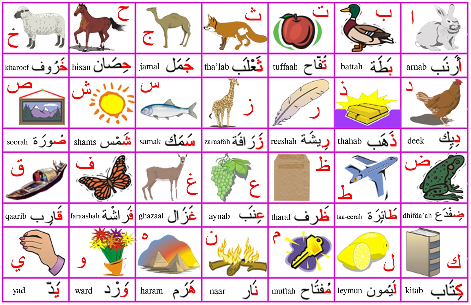 Arabic Alphabet For Kids