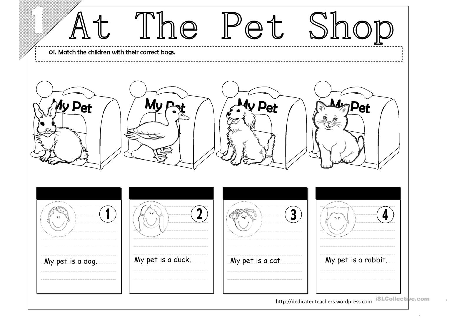 At The Pet Shop Worksheet