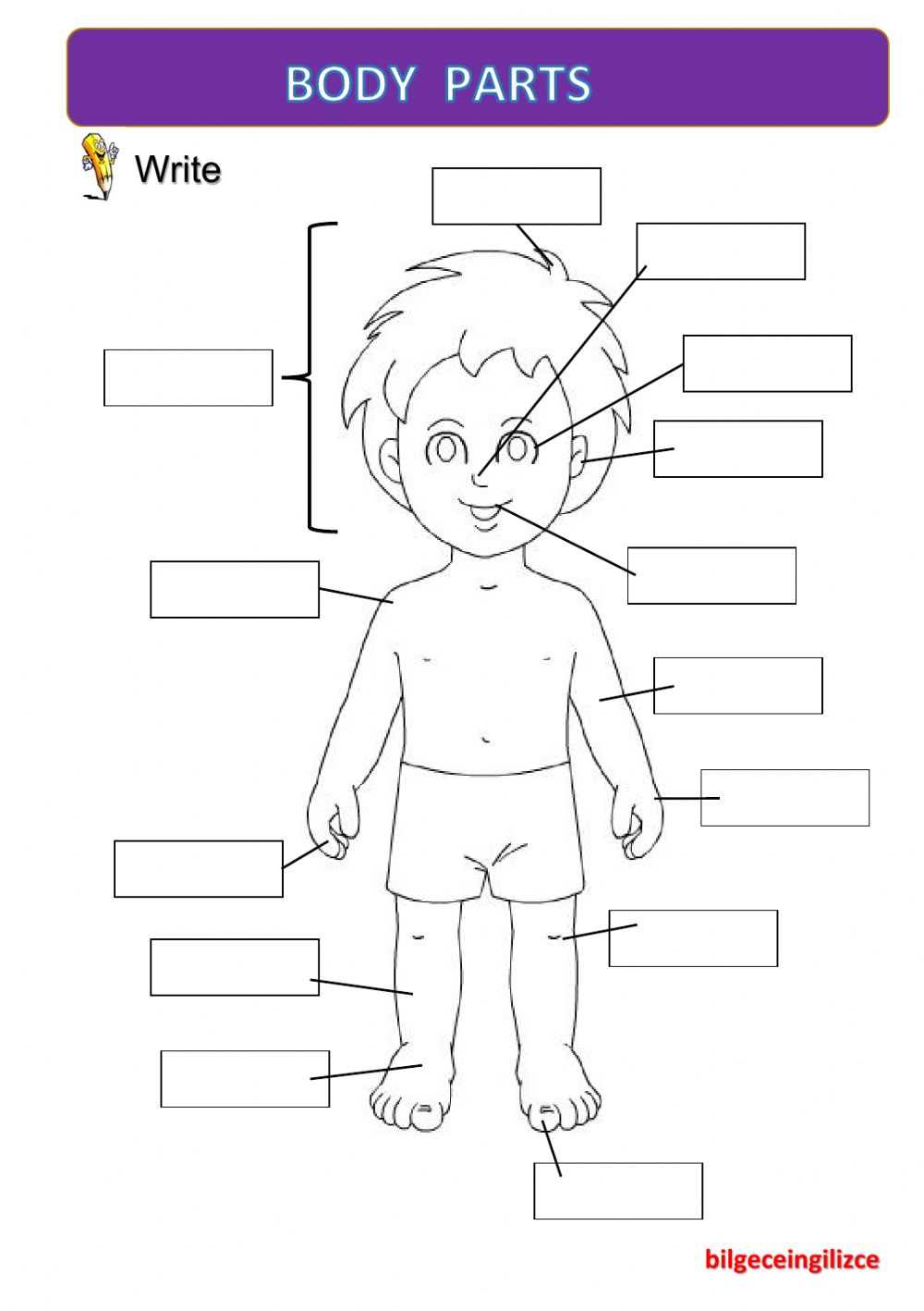 Body Parts(with Video)