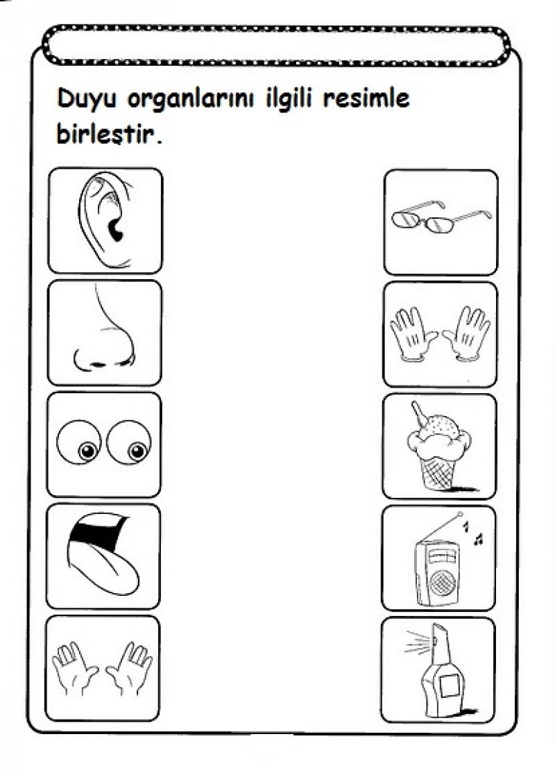 Five Senses Worksheet For Kids