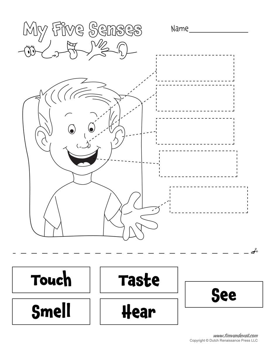 Free Five Senses Worksheets For Kids
