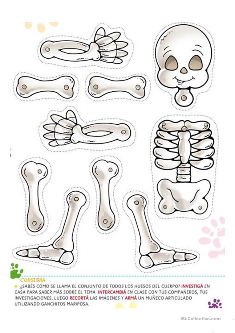 Halloween Skeleton Worksheet