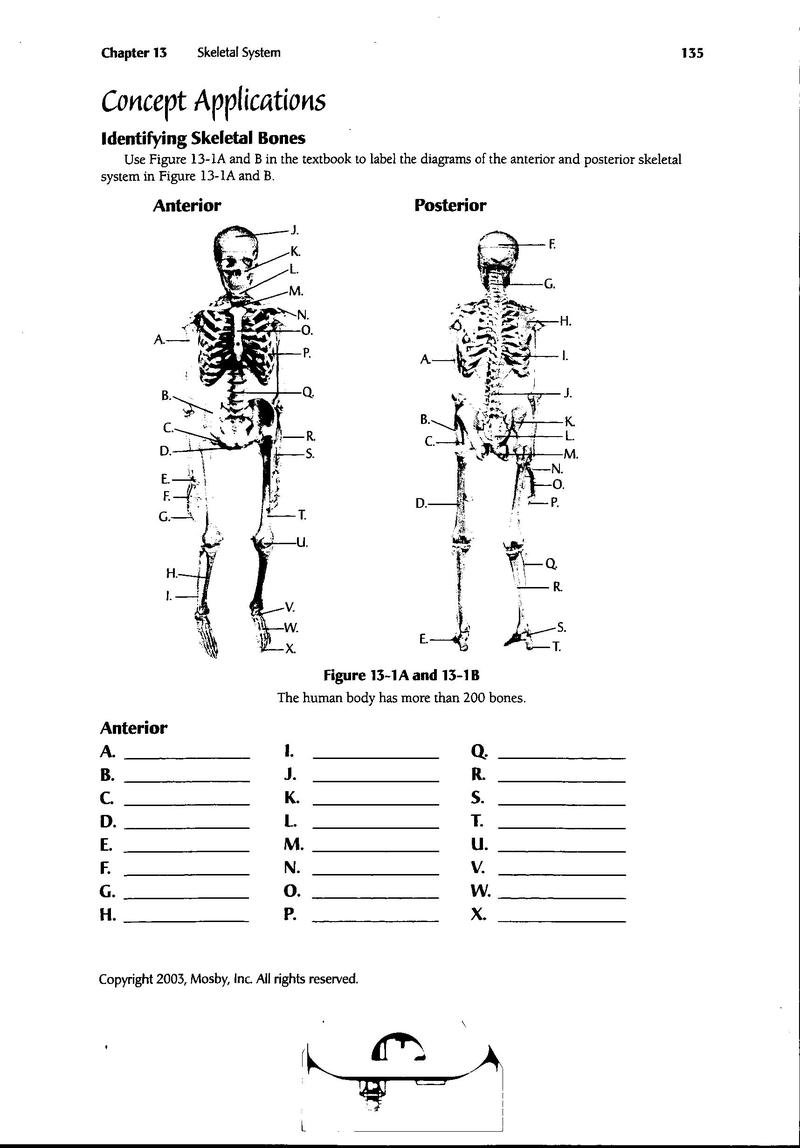 Printable Cna Worksheets