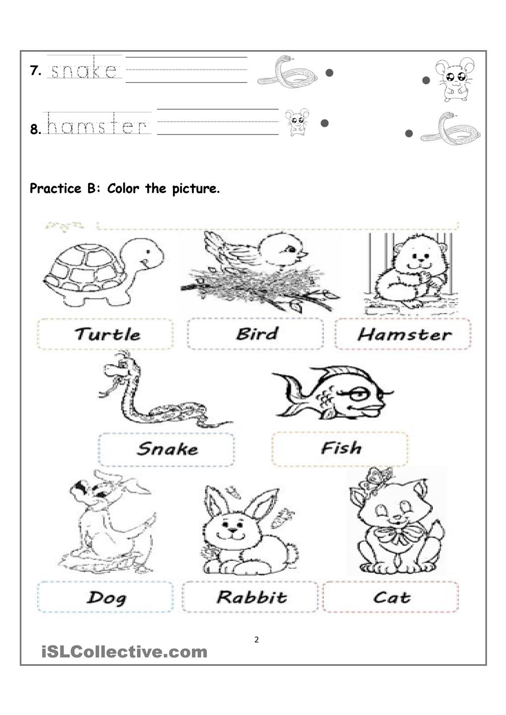 My Pets