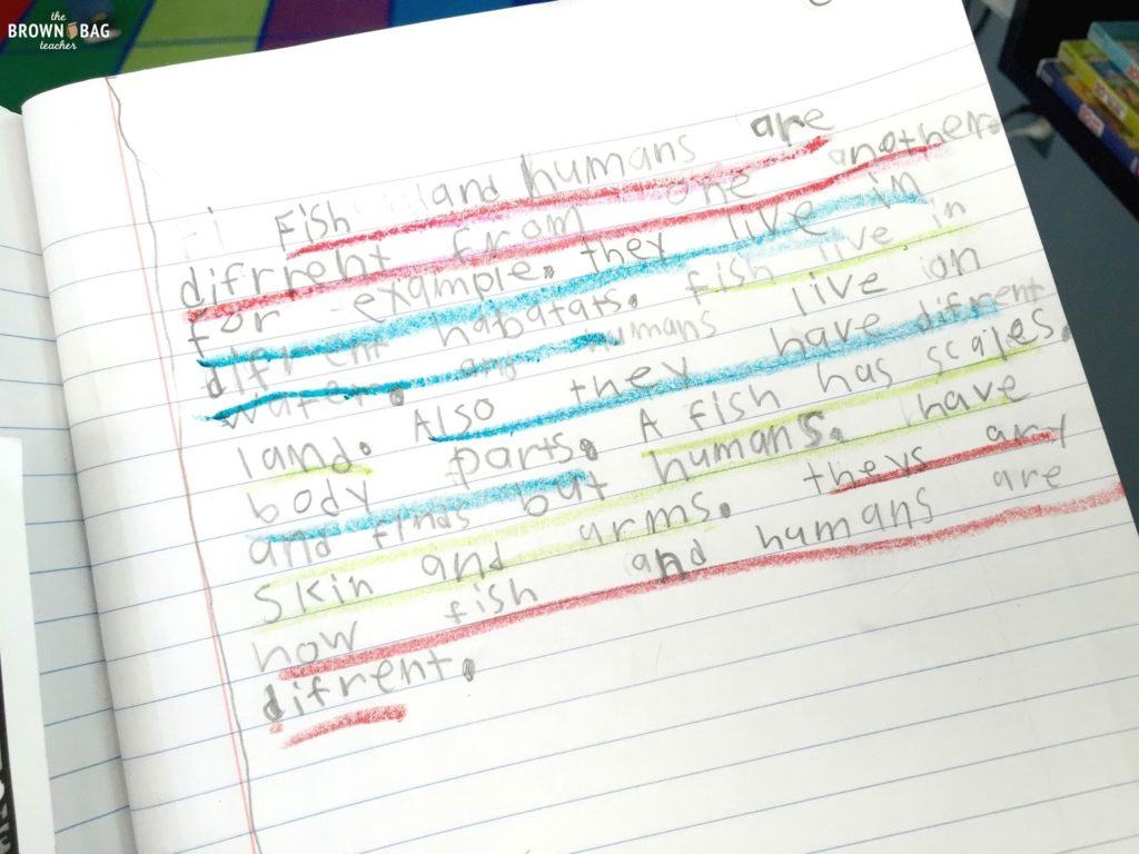 Paragraph Writing In 1st And 2nd Grade