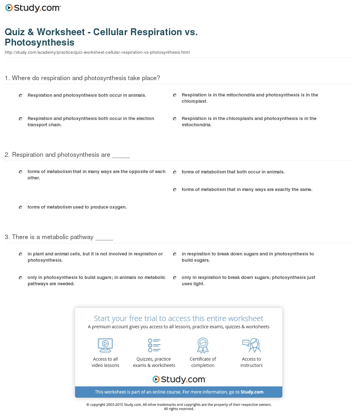 Photosynthesis Worksheets For High School Free Worksheets Library