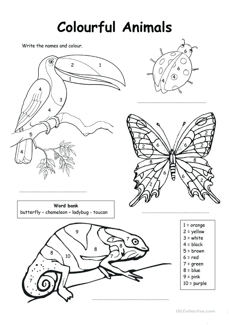 Plant Cell Coloring Page 1 With Regard To Color Worksheets For