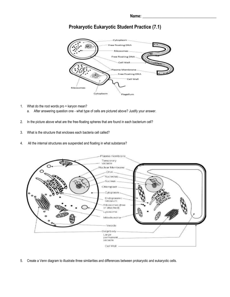 Prokaryotic Eukaryotic Student Practice