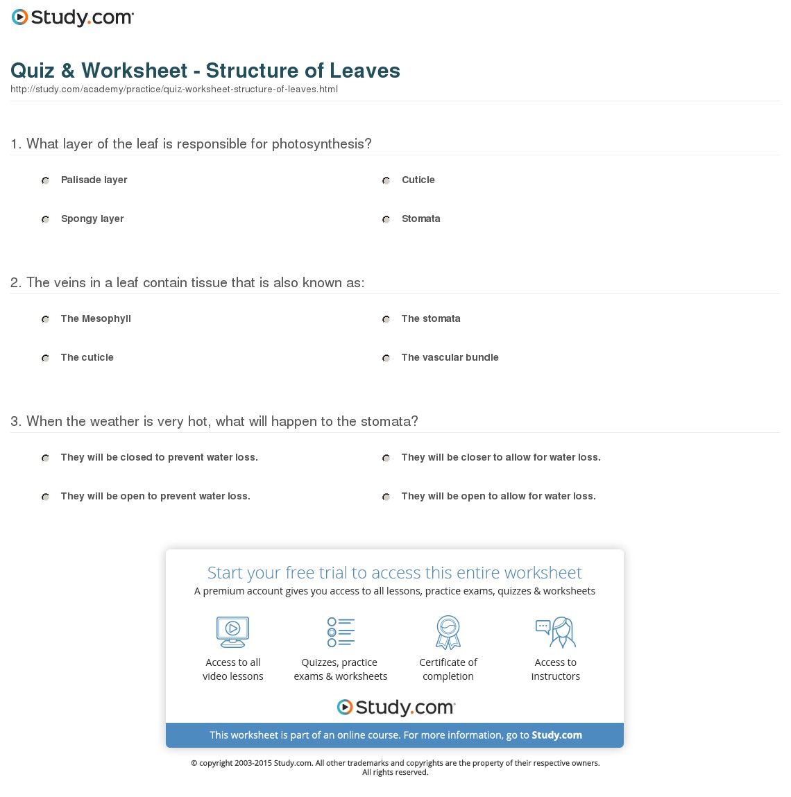 Quiz & Worksheet