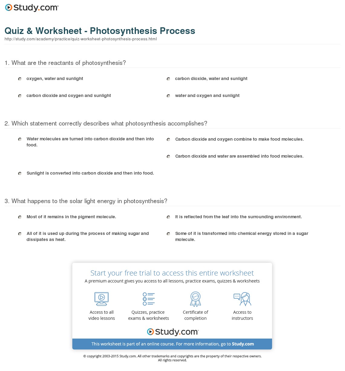 Quiz Worksheet Photosynthesis Process Stud