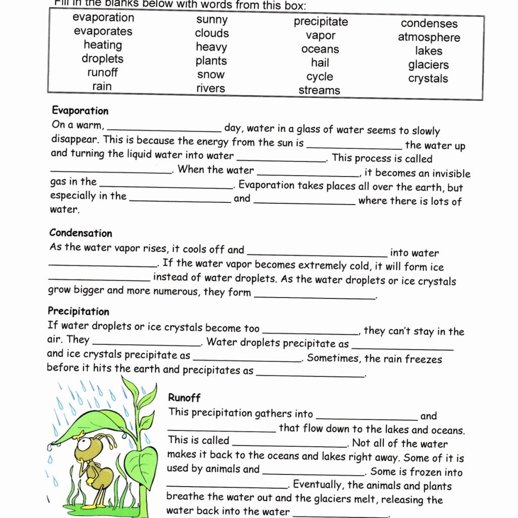 Water Cycle Worksheet 21th Grade Within Bill Nye Plants Worksheet