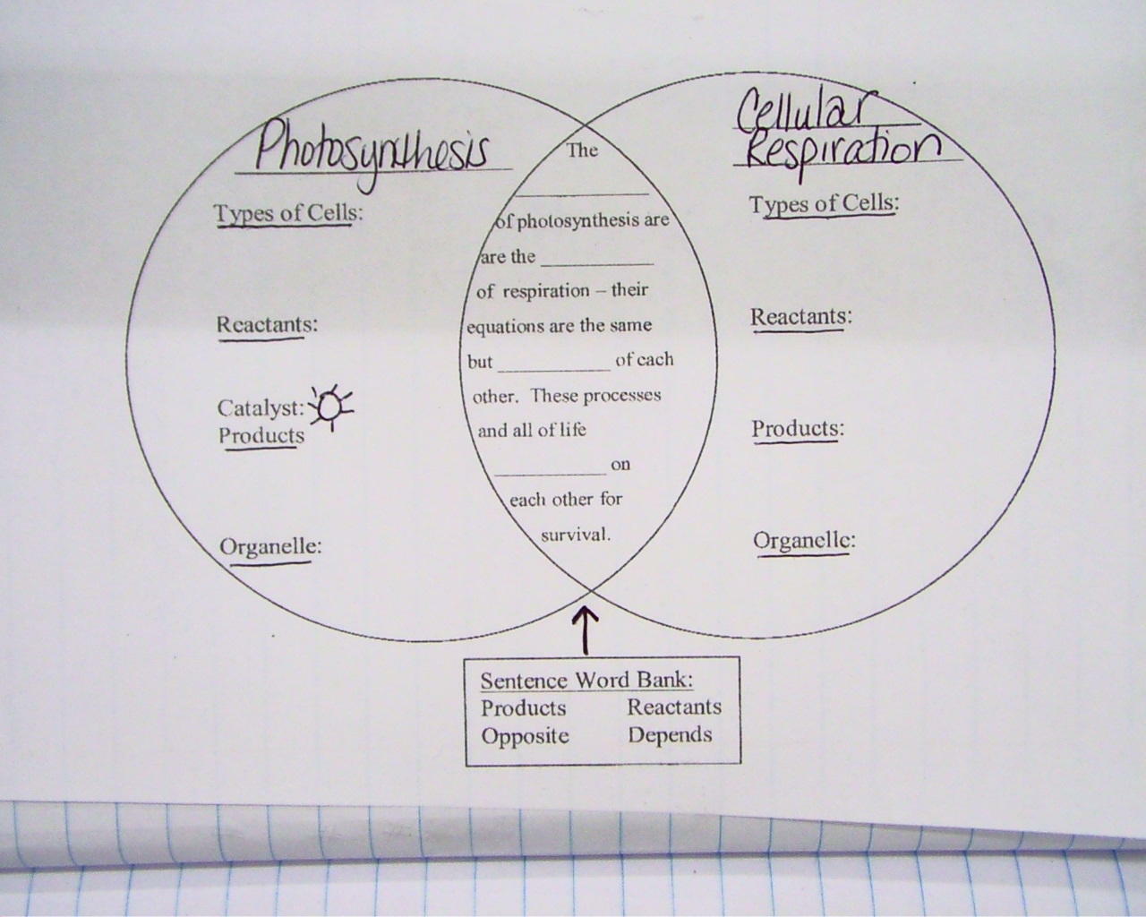 This Would Be A Great Project For Students To Make During The