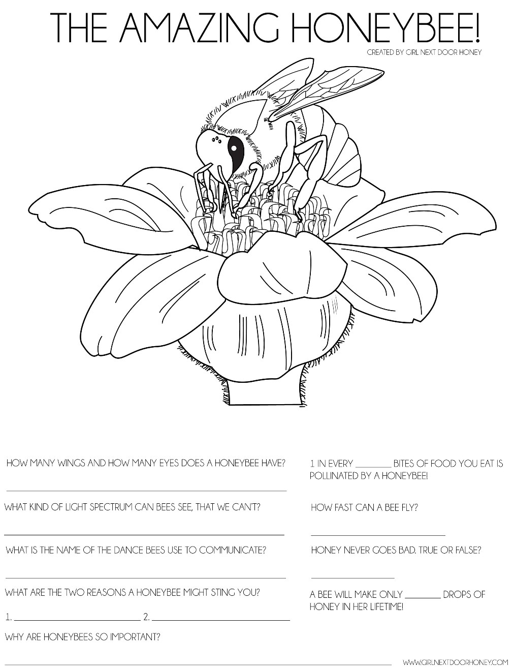 Use This Honeybee Activity Sheet To Teach Your Kids About Bees