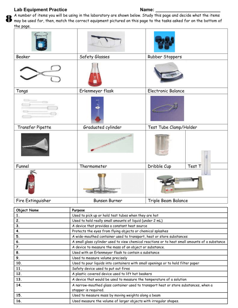 Identifying Lab Equipment Worksheet