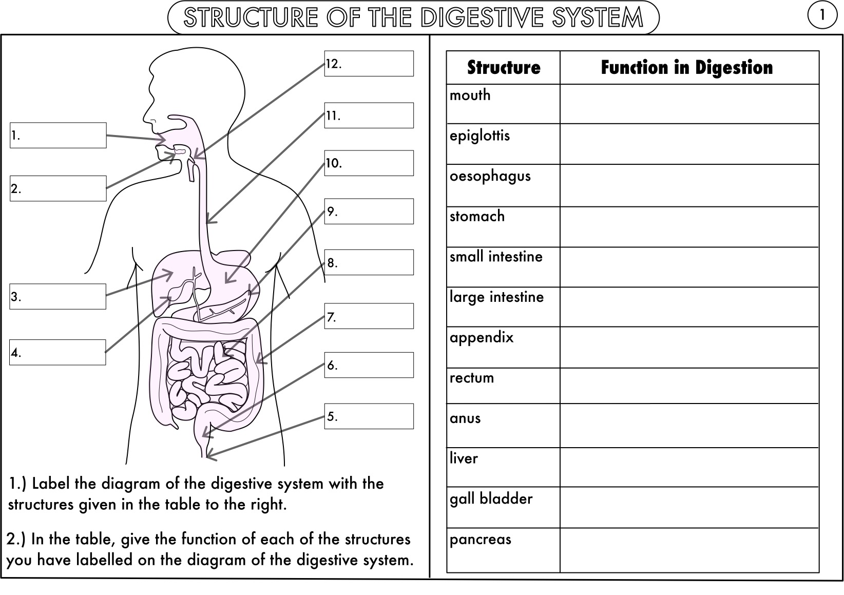 Worksheets For All