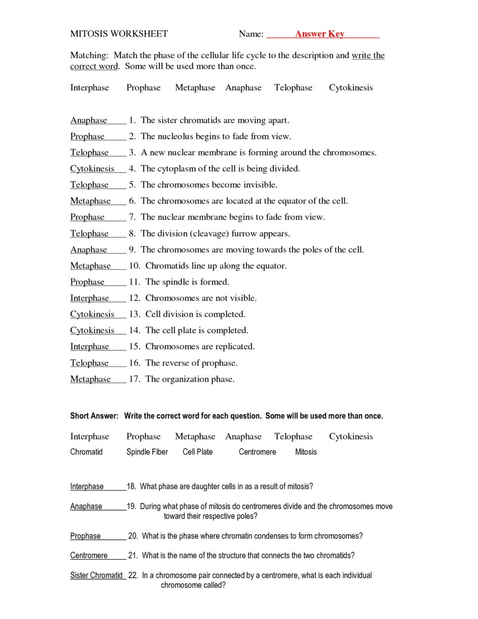 Worksheets For All
