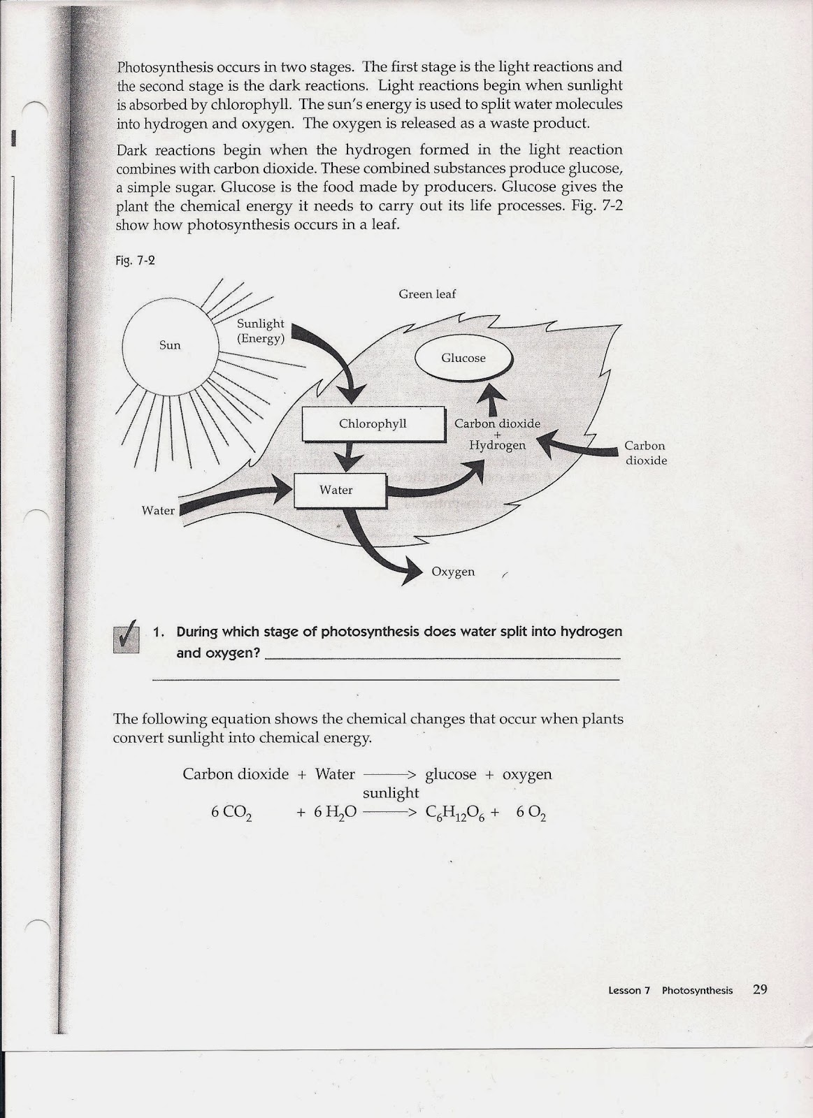 Worksheets For All