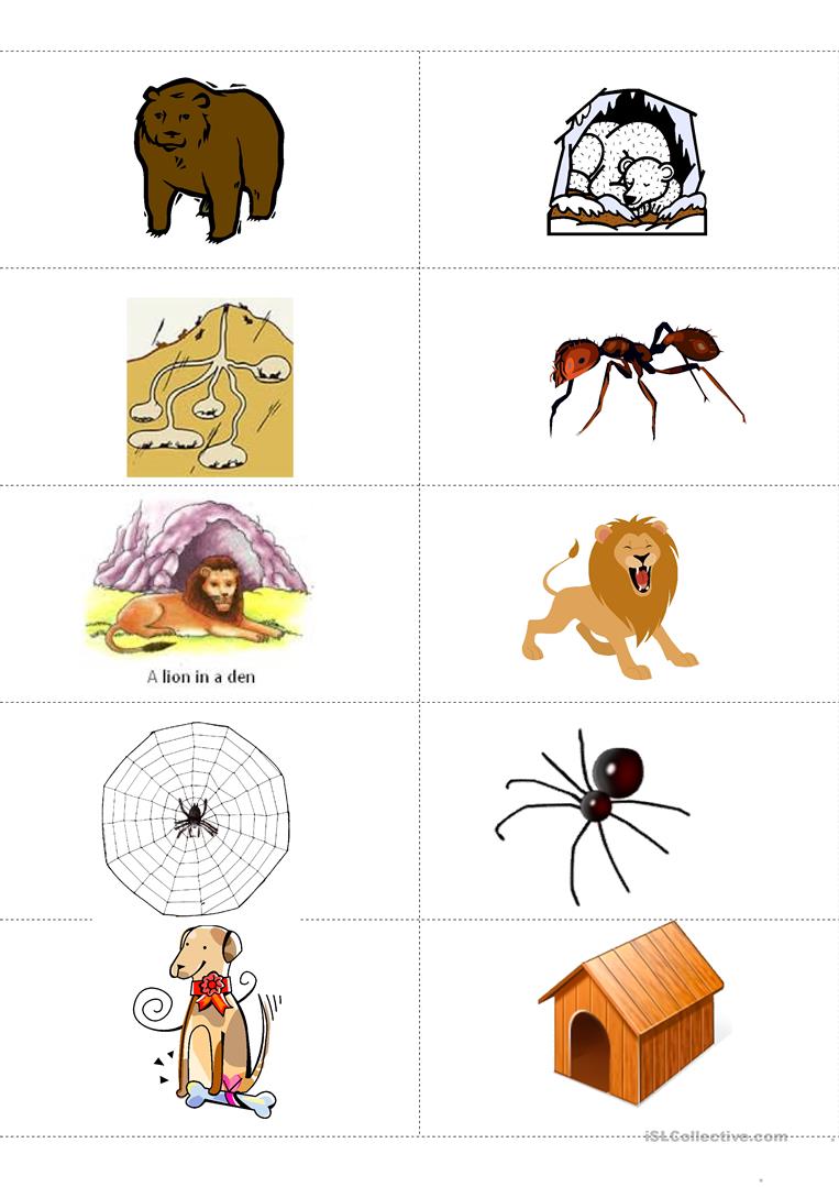 19 Free Esl Habitat Worksheets
