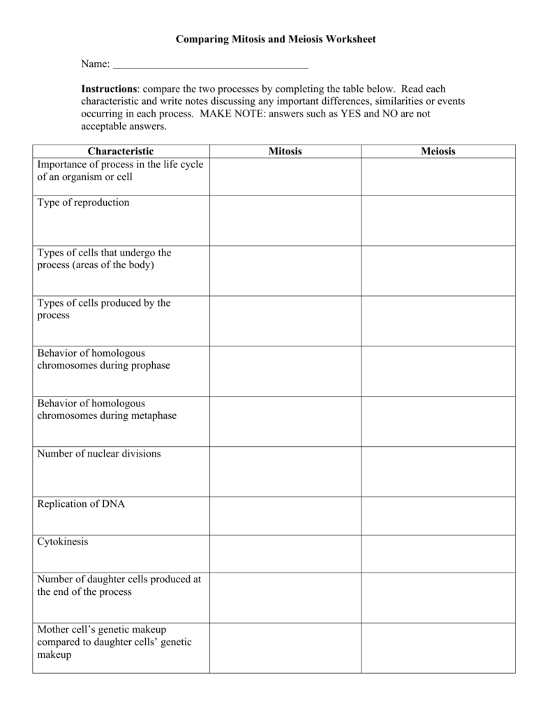 Comparing Mitosis And Meiosis Worksheet Answers