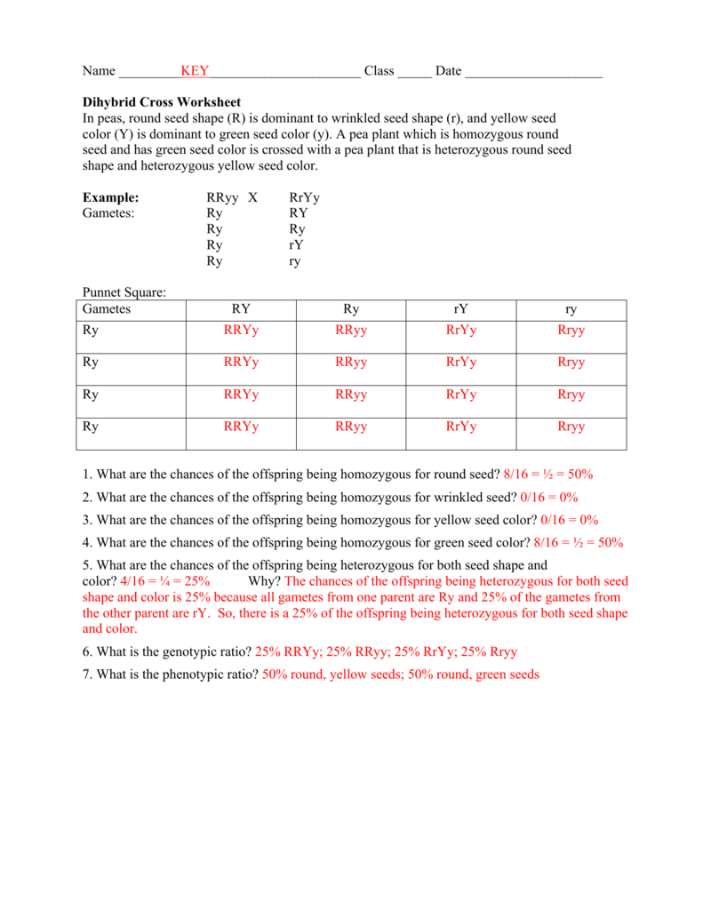 Dihybrid Cross Worksheet Key