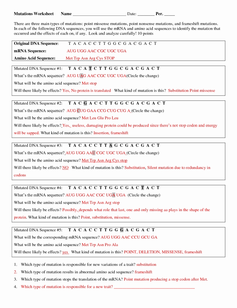 Dna Mutations Practice Worksheet Answers