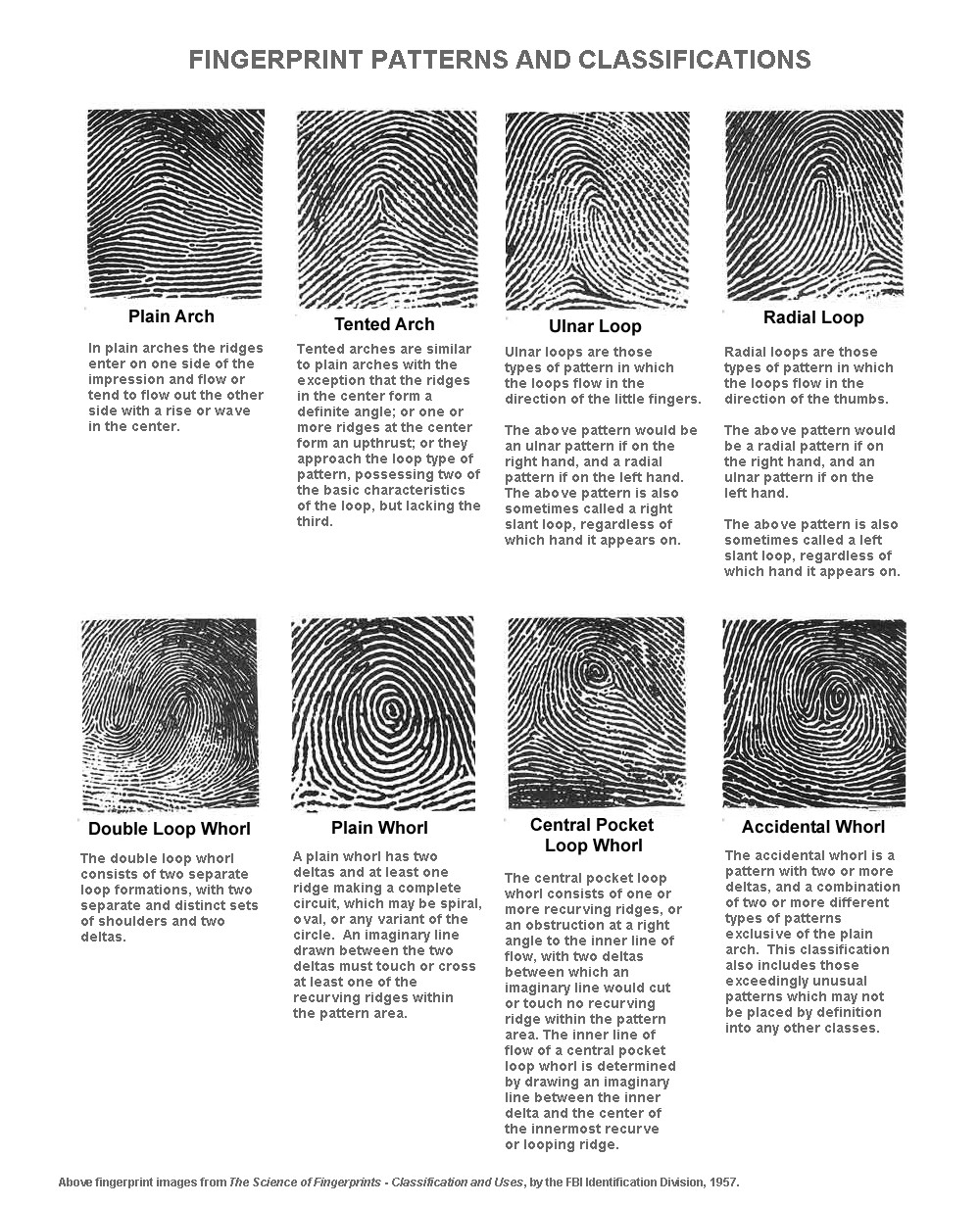 Fingerprinting Merit Badge