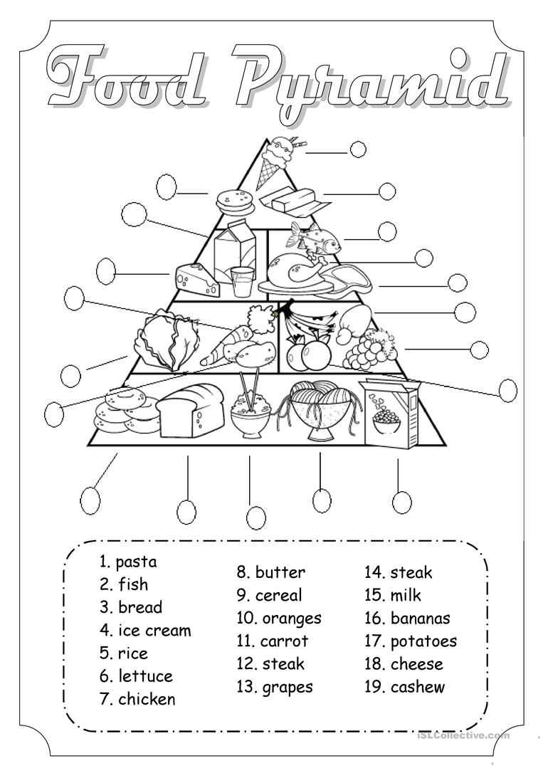 Food Pyramid Worksheet