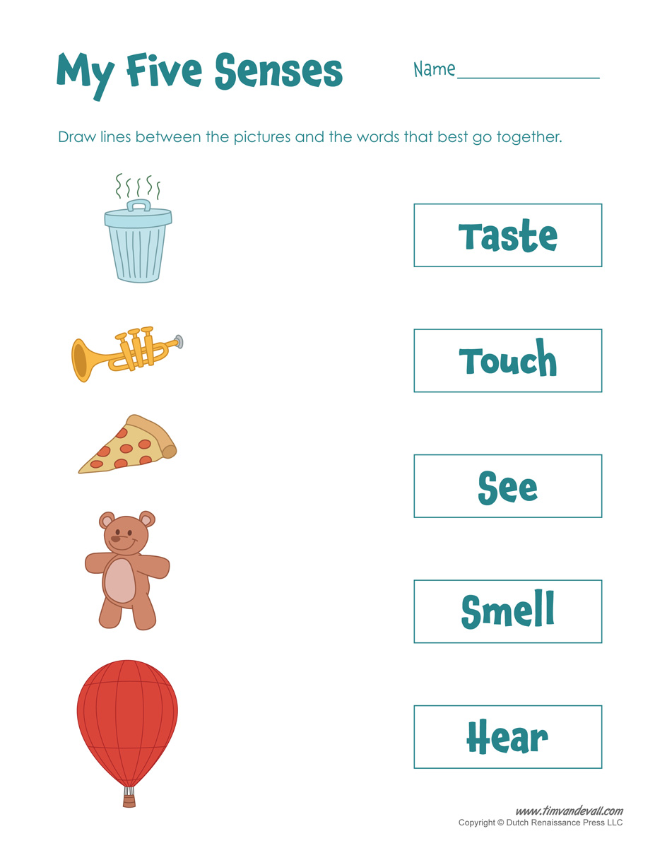 Free Five Senses Worksheets For Kids
