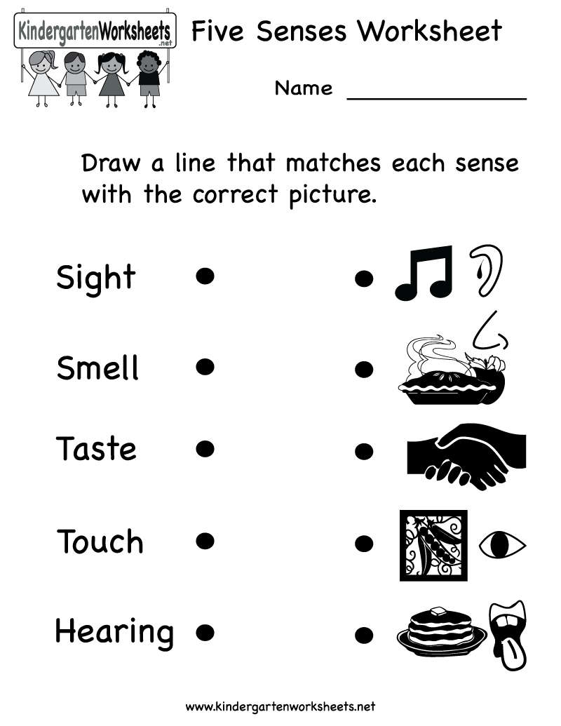 Kindergarten Five Senses Worksheet Printable