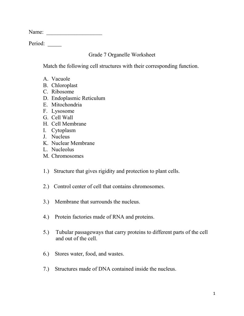 Organelle Matching